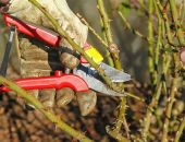 ������-����� �� ������� ��� ������� � ����  