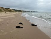 �� ��������� ��������� ����� ����� ���������� ������� ����