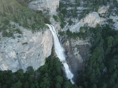 � ����� �� �������� ����-�� �������� ���������
