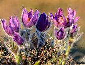  �� ������� ���� �����-��� � ����� ������� ���-�����