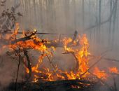 400 ���������� ������� � ����� ����� �������� ������ ������