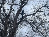 В Крыму спасатели сняли с дерева юного футболиста
