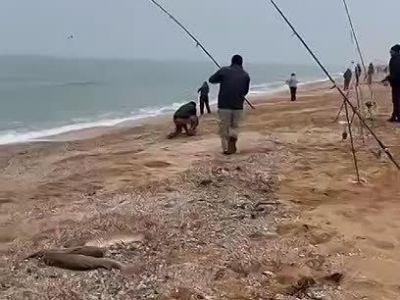 � ����� ������� ���� ��� ���������