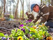 ����������� ������� ��� ������ �������� ������ 