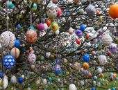 � ��������� ��������� ���������� ������