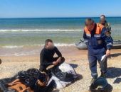 � ����� ������� �� ����-����� ������ � ���� �� ��� ��������� 