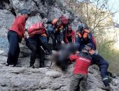 � ����� ������� �������� �� ����� � ����� 