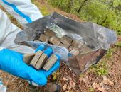 В Крымских заповедниках вакцинируют от бешенства диких животных 
