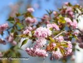 � ����� �������� ������