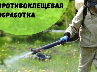 � �������� ������� ��������� ���������� �� ������