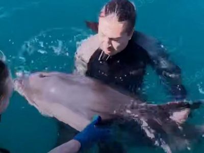 � ������� ����� ������ ��������, ������������� � �����