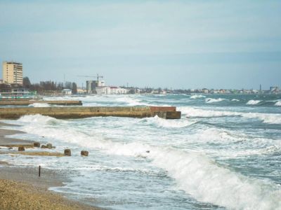 � ���� ������ ����� �����������: �� ������� ������