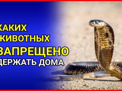 � ������  ��������� �������� ����������� � ���������� ��������