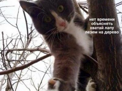 � �������� ������ �������, ���������� �� ������ � �����