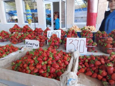 ����� ��������:  �������� ������ ��� ��������