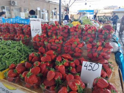 ����� ��������:  �������� ������ ��� ��������