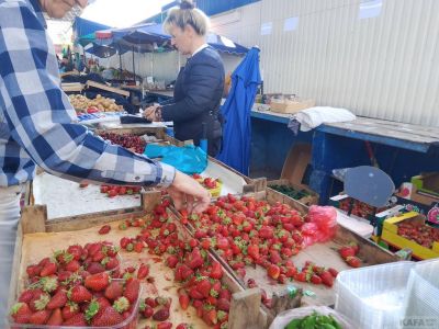����� ��������:  �������� ������ ��� ��������
