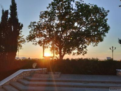 ��������: ������ ������ �������