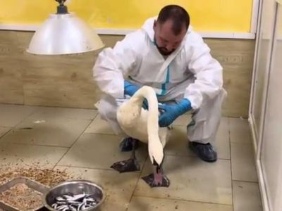 � �������� �� ����� �������� �������� �� ������ ������ 