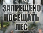 В Крыму продлили запрет на пребывание в лесах