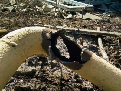 � ������� ������������ ��������� ����������