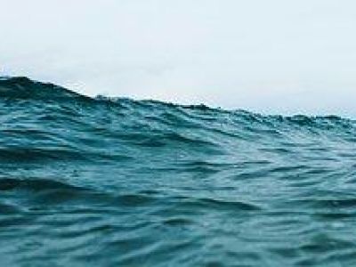 � ������ ������������� ������������� ���������� ����������