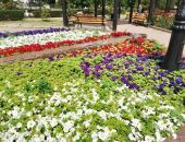 Феодосия становится все красивей