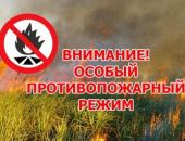 В Крыму продлили запрет на посещение лесов 