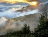 Авиация МЧС продолжает тушение лесного пожара в Крыму