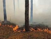 В Симферопольском районе Крыма пожар охватил уже 40 гектаров  