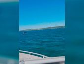 В Крыму восьмилетнего мальчика на надувном матрасе унесло в море 