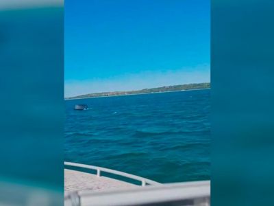 � ����� ������������� �������� �� �������� ������� ������ � ���� 