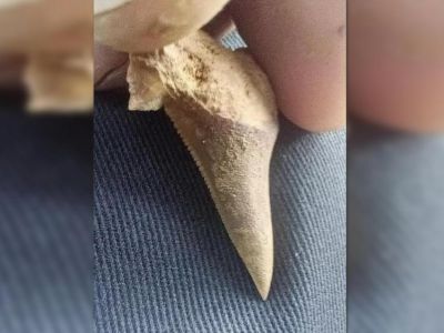 ��� ���������� ����� ������ ����� � �����  � ������ ��������
