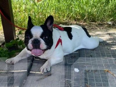 � ������������ ������ �� �������� ����� � �������� ������ ������