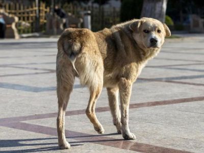 � ����� �������� ������ ����� ������ �������� �� �����
