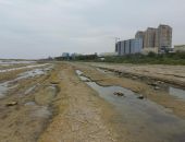 Каспийское море рекордно обмелело