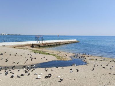 ��������: ���� ������ �� �����