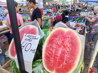 ����� ��������:  ���� ��������, ����� ��������