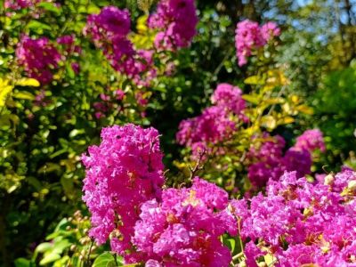 � ����������� � ������� ������� ������
