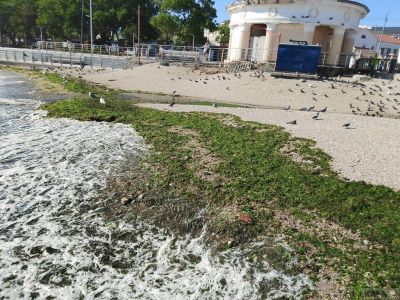 ��������: ������� � ���� ����� � ����������
