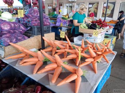 ����� ��������:  ���� � ���� ��������