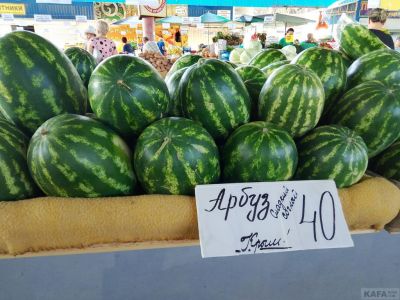 ����� ��������:  ���� � ���� ��������