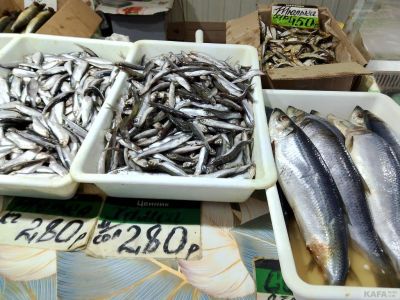 ����� ��������:  ���� � ���� ��������