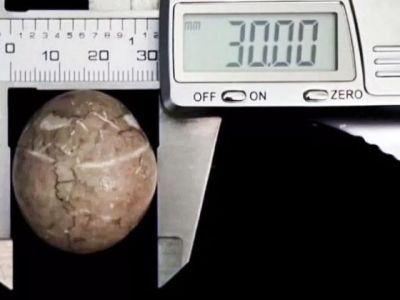 � ����������� ������� ������� ��������� �� 3 ��� ������ 