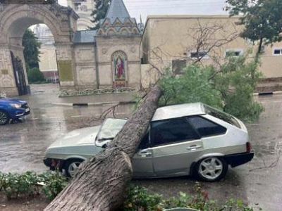 � �������� ����������� ����������� ��������