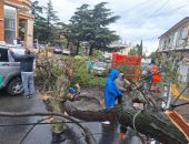 � ���� ������ ������� 43 ������ � ������ ����� ���� ��������