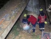 ������� ���� � ���������������� ����� � ����� � �����