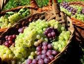 ������ ��������� � ���� ���� ��-�� ������ ����������� �������� 