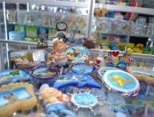 ����� ���������� �������� ����� ������� � �����������