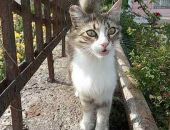  ���� ��� ����� �������� �� ������� ����� � ����������